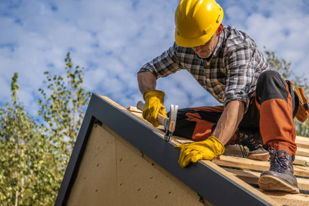 Best Roof Moss and Algae Removal  in Blanco, TX